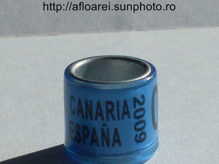 canaria espana 2009