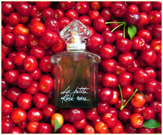 1005061_536789053048036_990702930_n