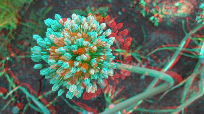20140612_200111 - 3D ANAGLYPH