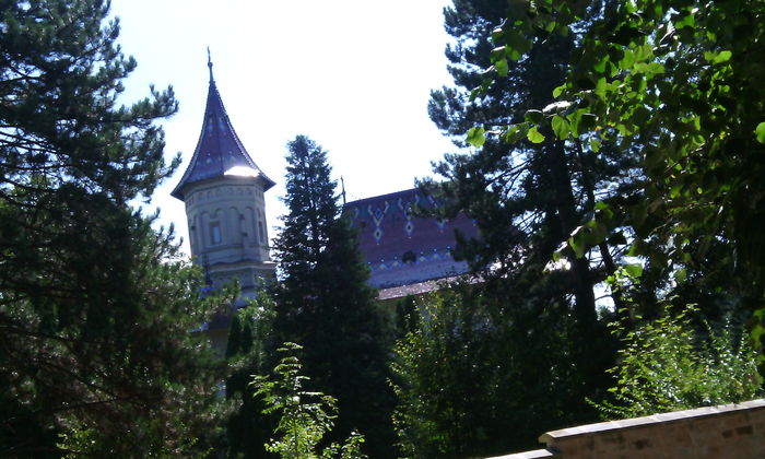 IMG_20140823_130438 - La manastiri in Bucovina