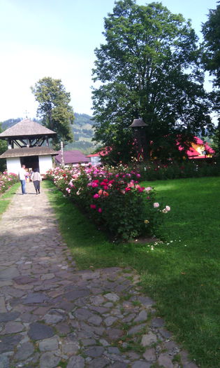 IMG_20140823_160952
