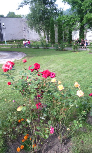 IMG_20140823_164843