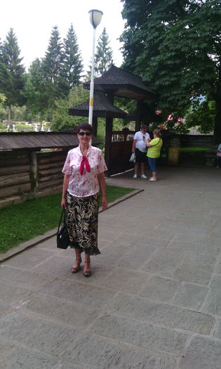 IMG_20140823_164621
