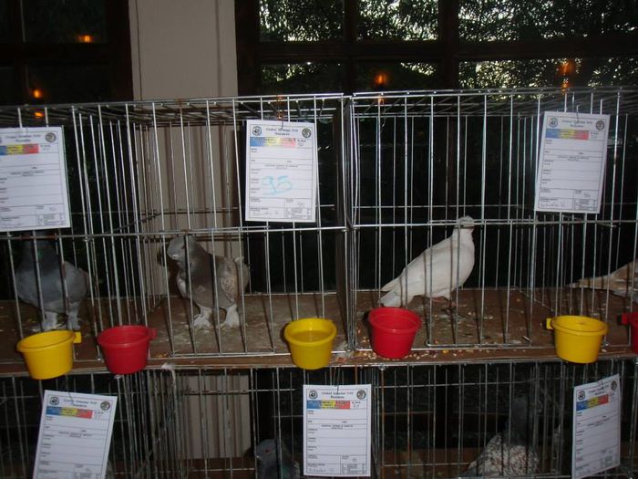 12235_1473548539570371_6894380338814179615_n