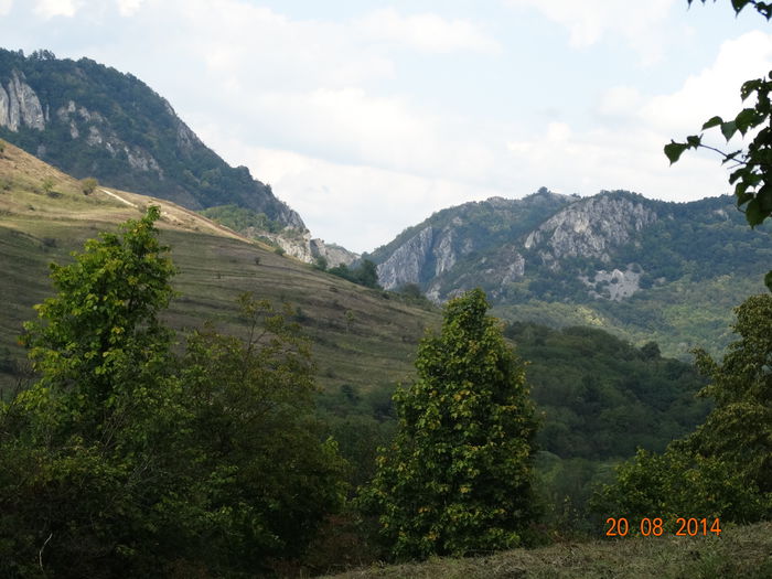 DSC07181 - Peisaje 2014 si alte imagini