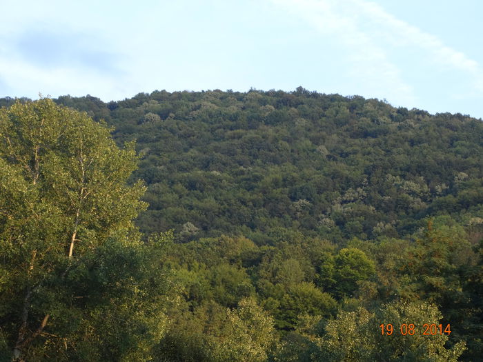 DSC07171 - Peisaje 2014 si alte imagini