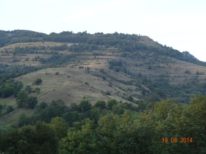 DSC07168 - Peisaje 2014 si alte imagini