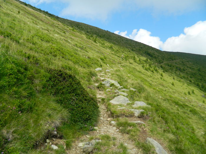 DSCN9437 - PARANG_6_2014