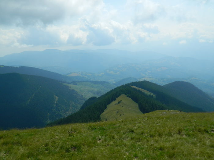 DSCN9447
