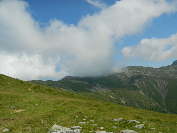 DSCN9449