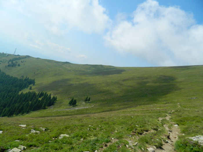 DSCN9453