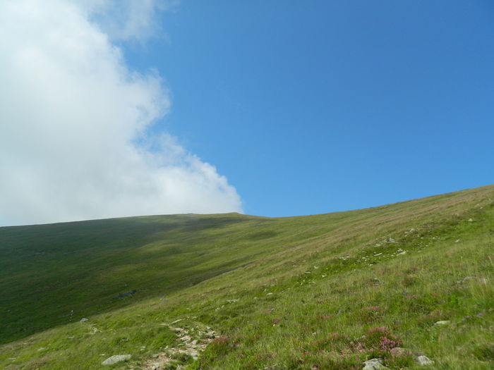 DSCN9456
