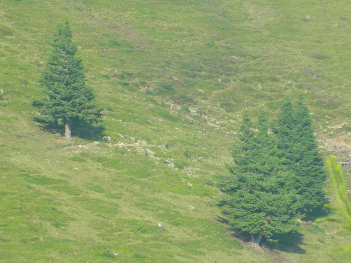 DSCN9497