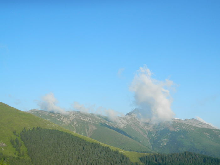DSCN9505