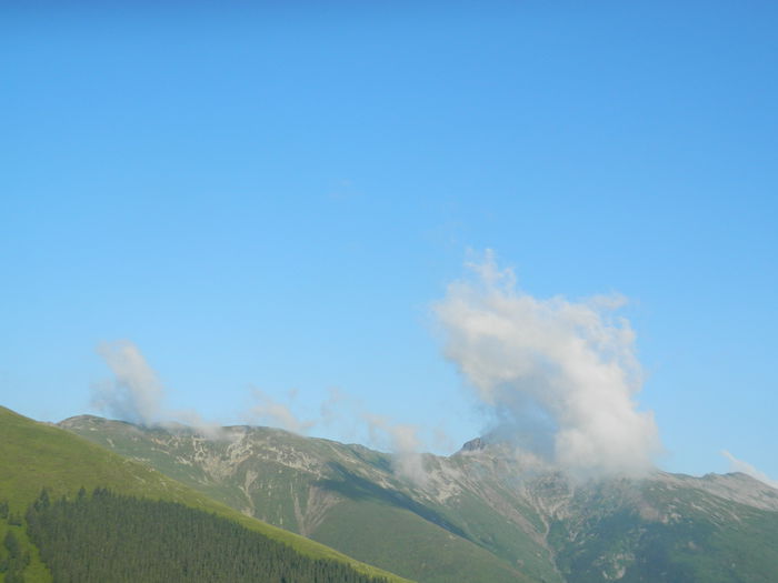 DSCN9507