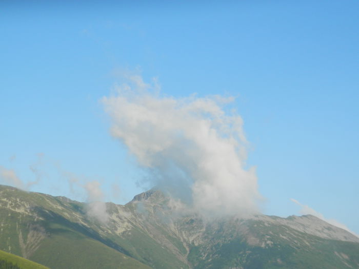 DSCN9508