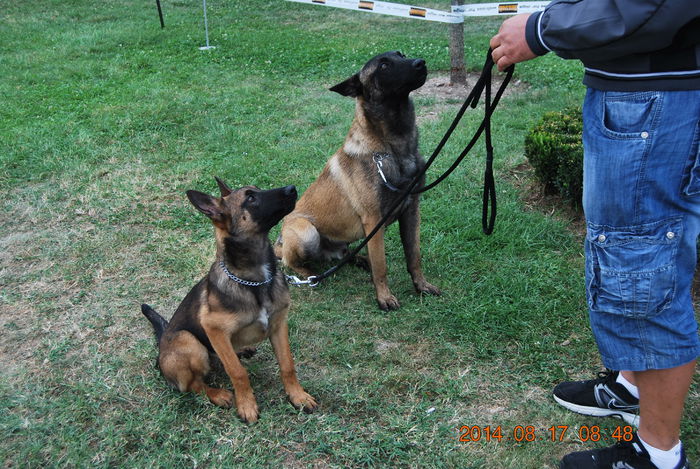 Chira & wolf; Chira si Wolf la C.AC.I.B. Alba Iulia august 2014
