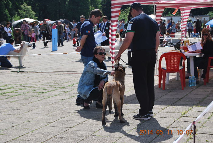 Wolf; C.A.C.I.B. MAI 2014
