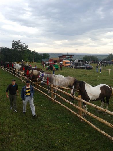 20140824_130724 - Expozitie Ilisesti -SUCEAVA 24 August