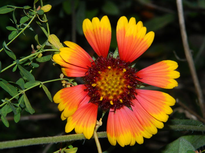 DSCN7476 - AUGUST_2_2014