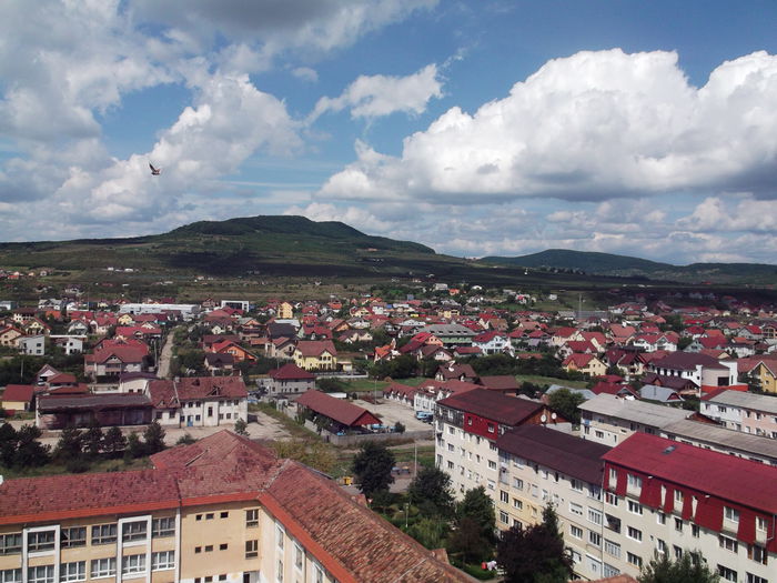 Picture 3850 - PORUMBEI GAT-GOLAS