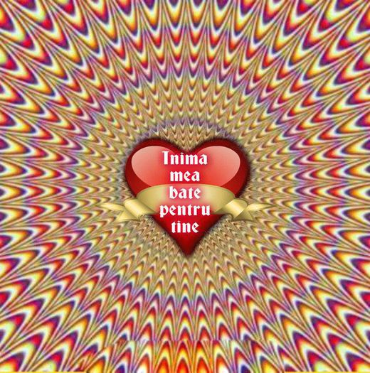 10289859_310065482483586_6845592364552513654_n