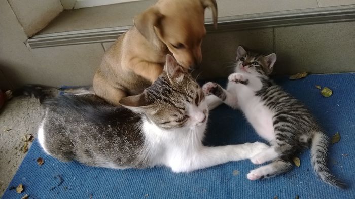 Hei, cred ca pe tine te cauta...