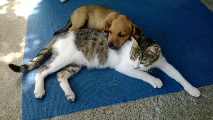 Nu ne cauta pe noi...