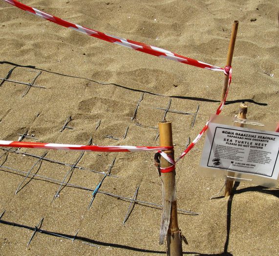 AMMES BEACH (3)