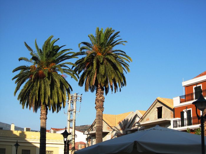ARGOSTOLI TOWN (30) - ARGOSTOLI TOWN
