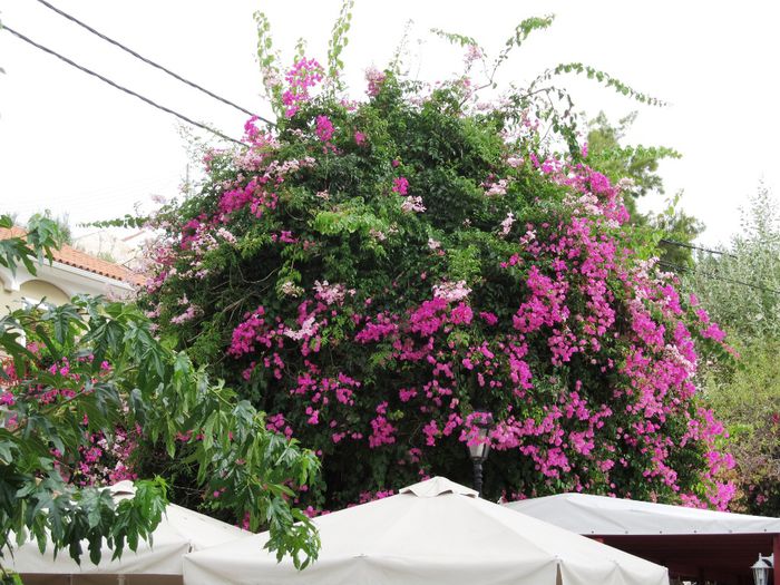 ASSOS TOWN & BEACH (18)