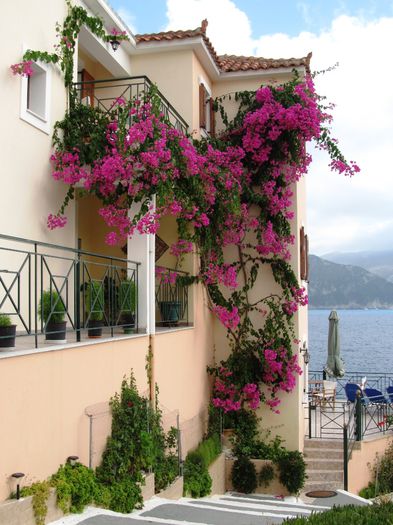 ASSOS TOWN & BEACH (29)