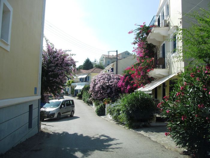 FISCARDO (18)