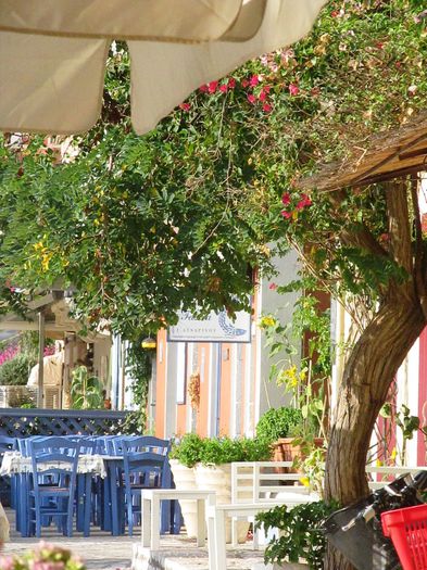 FISCARDO (35)