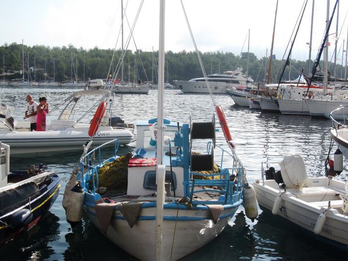 FISCARDO (43)