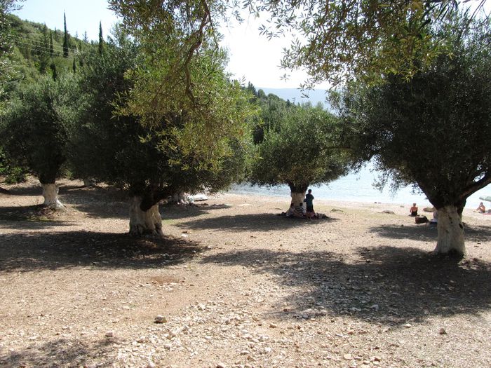 FISCARDO - FOKI BEACH (5) - FISCARDO - FOKI BEACH