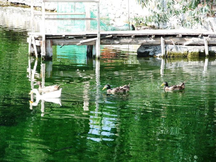 KARAVOMILOS LAKE (12)