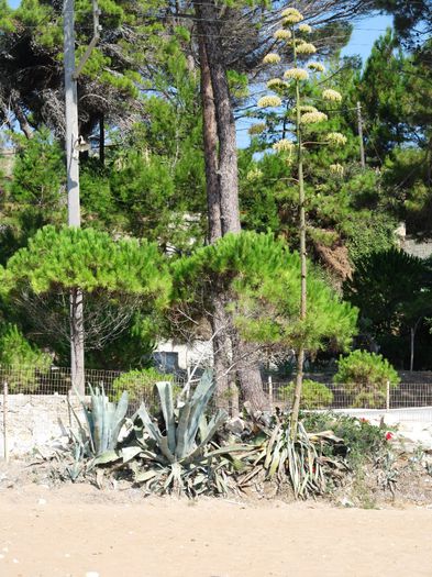 LEPEDA BEACH + ST. PARASCHIEVI CAVE (17)