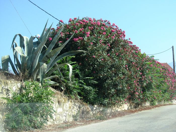 LEPEDA BEACH + ST. PARASCHIEVI CAVE (22)