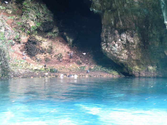 MELISSANI LAKE (48) - MELISSANI LAKE