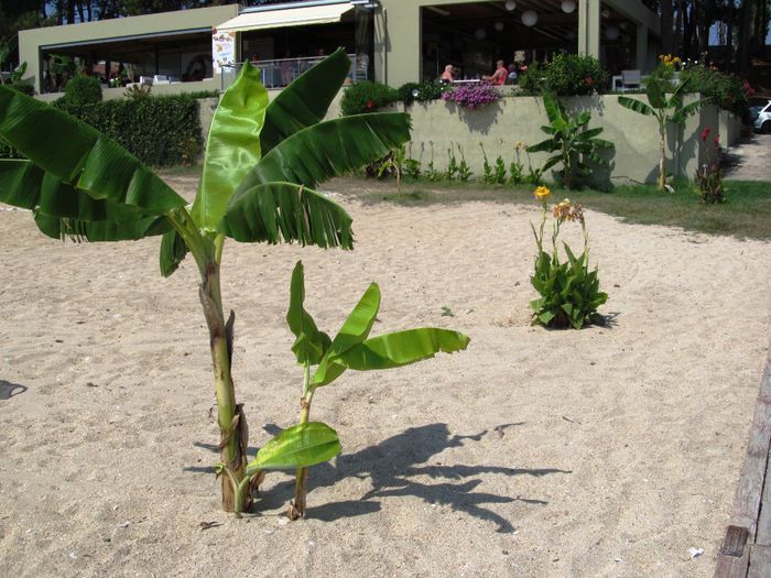 SKALA BEACH (37)