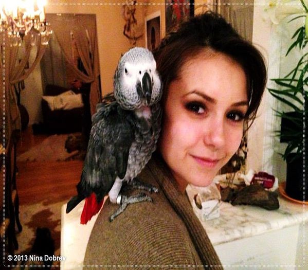 》 Treaba ta ;-?? =)))) *tine cartonul in brate si-l ``mangaie``* =)))))))))))))))))))))))))))))))