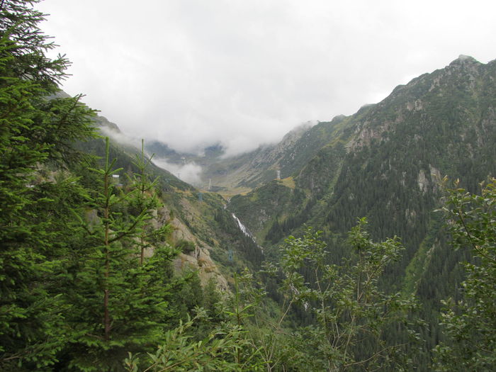 IMG_8105 - Transfagarasan