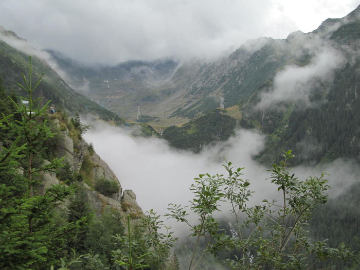 IMG_8123 - Transfagarasan