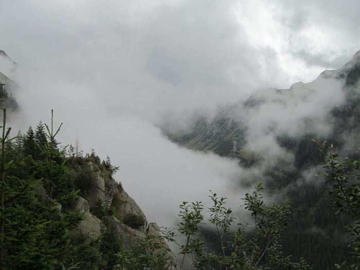 IMG_8129 - Transfagarasan