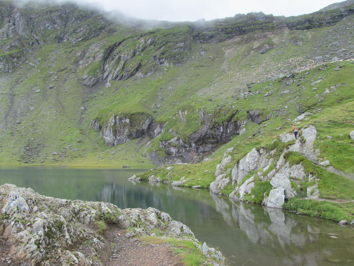 IMG_8186 - Transfagarasan