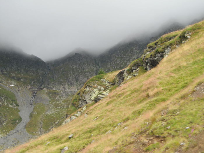 IMG_8206 - Transfagarasan