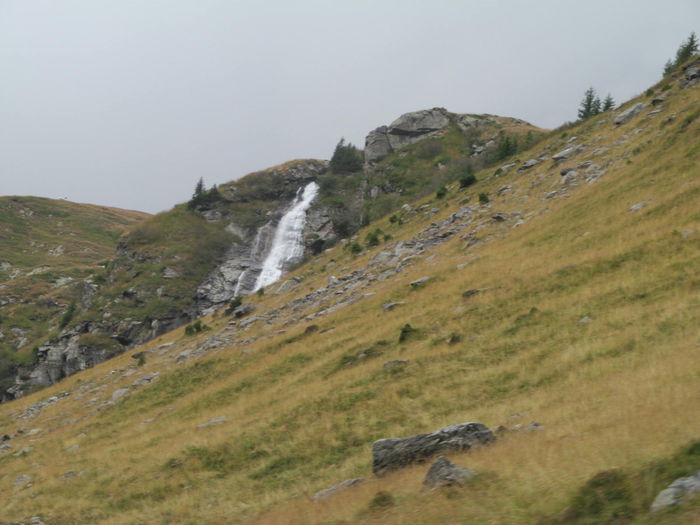 IMG_8220 - Transfagarasan