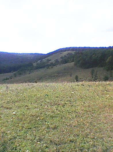 VEDERE DE LA MONUMENT SPRE PARTEA S-V A PĂDURII LENŢEA.