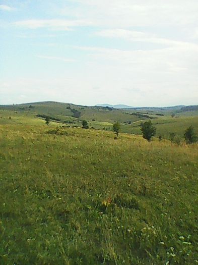 VEDERE DE LA MONUMENT SPRE PARTEA DE N-E A CÂMPULUI DE LUPTE.